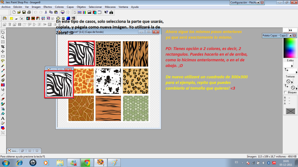 [Tutorial] Como usar Patterns/Scripts en PSP {Paint Shop Pro} Tuto6