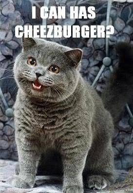 funny pics / meme I-can-has-cheezburger