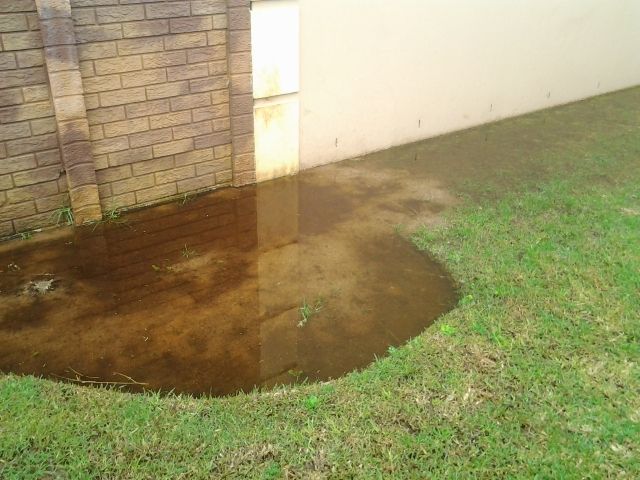 You know you've had too much rain when ..... 20120728_151321