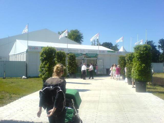 DUBLIN "Bloom 2009" Flower show DSC01309