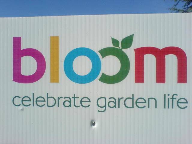 DUBLIN "Bloom 2009" Flower show DSC01372