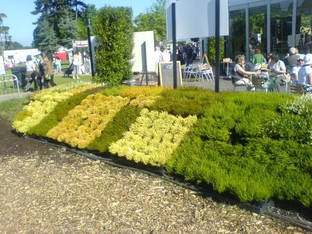 DUBLIN "Bloom 2009" Flower show - Page 2 DSC01411