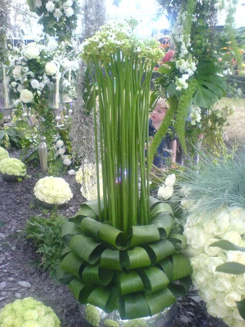 DUBLIN "Bloom 2009" Flower show - Page 5 DSC01431