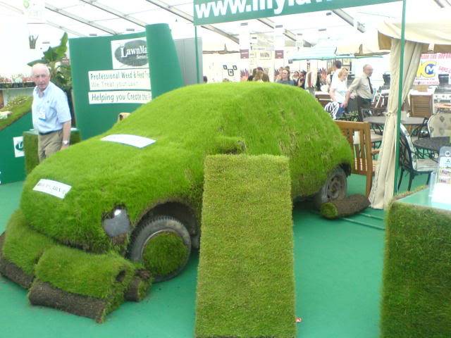 DUBLIN "Bloom 2009" Flower show - Page 3 DSC01172