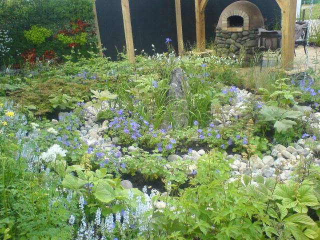 DUBLIN "Bloom 2009" Flower show DSC01204