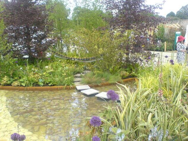 DUBLIN "Bloom 2009" Flower show DSC01212