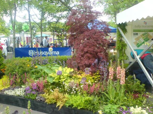 DUBLIN "Bloom 2009" Flower show - Page 4 DSC01253