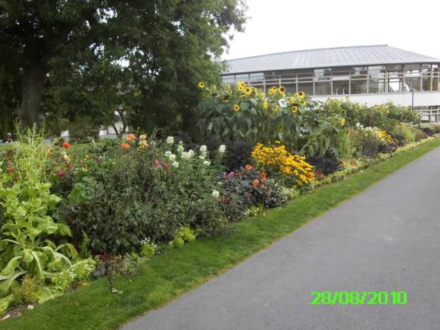 BOTANICKI VRT Dublin - Page 6 PICT0268