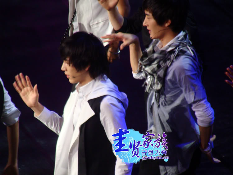 [8pic] Sung Min ♥ Kyu Hyun [ Mất máu] :[[ 69fcbee8feb7b5f51b08f0b5b5e01253