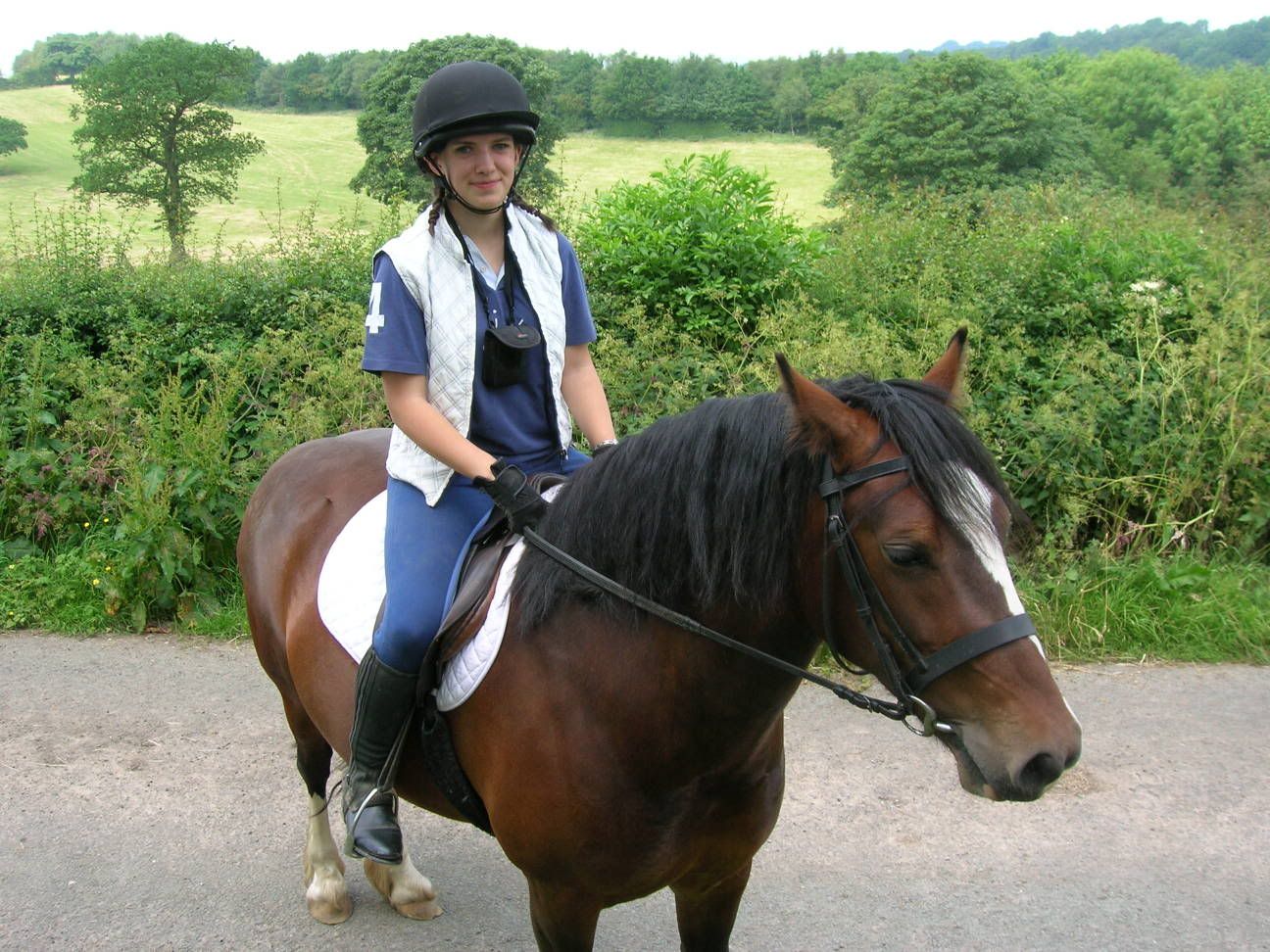 Some pictures of the horses I ride/look after Hackday2006