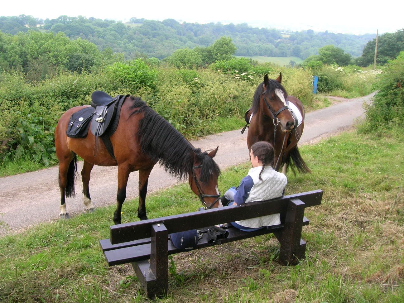 Some pictures of the horses I ride/look after Hackday2007