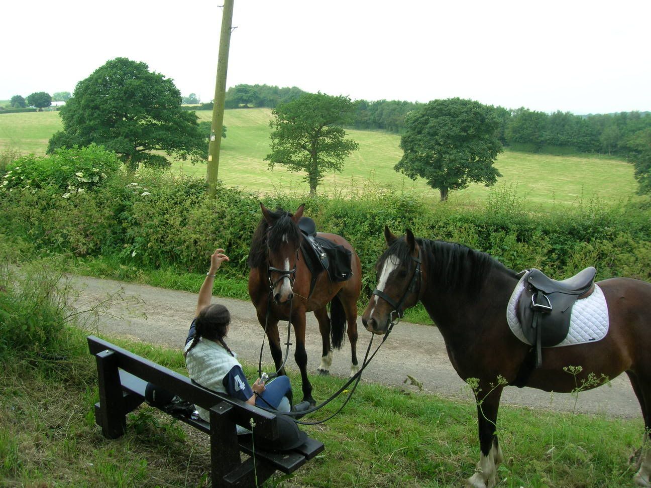 Some pictures of the horses I ride/look after Hackday2009