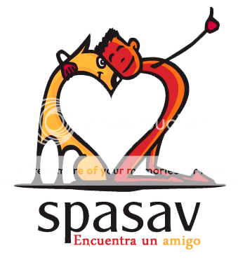 16 jan 2016 - Samenwerking Spasav Logo-transparente_zpsbyz9boft