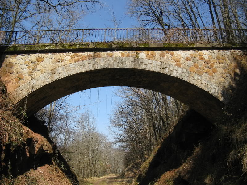 espalion - Bertholène-Espalion (Aveyron) : coup de foudre et mal au coeur... IMG_1885