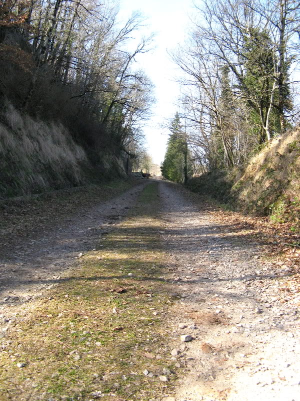 espalion - Bertholène-Espalion (Aveyron) : coup de foudre et mal au coeur... IMG_1918