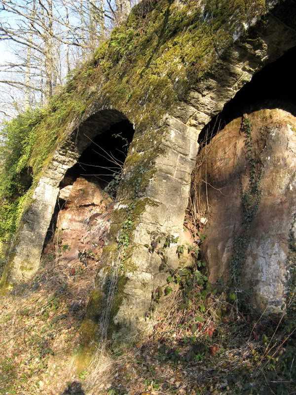 espalion - Bertholène-Espalion (Aveyron) : coup de foudre et mal au coeur... IMG_1951