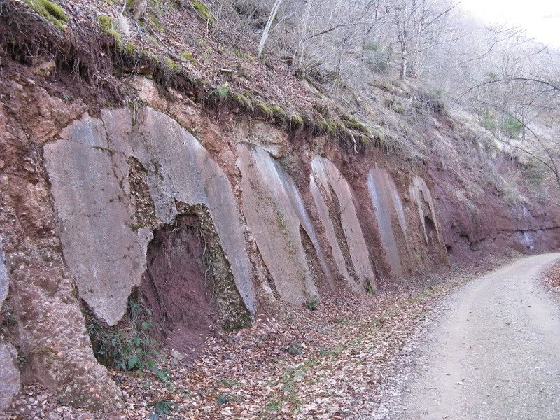 Bertholène-Espalion (Aveyron) : coup de foudre et mal au coeur... IMG_1955