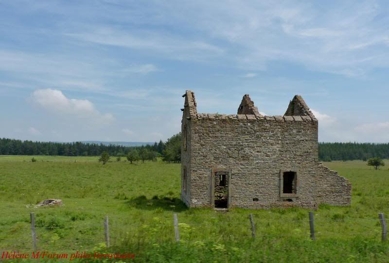 2. Le Trans'Lozérien : De Mende à La Bastide ...et Langogne...en X 2800 P1030532Copie_zps2a200ebb