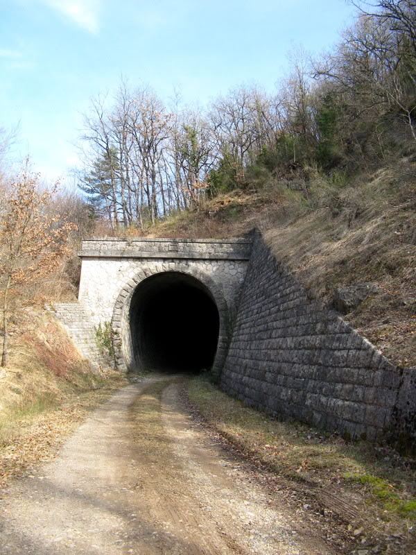 Bertholène-Espalion (Aveyron) : coup de foudre et mal au coeur... Tdarbrefeuille