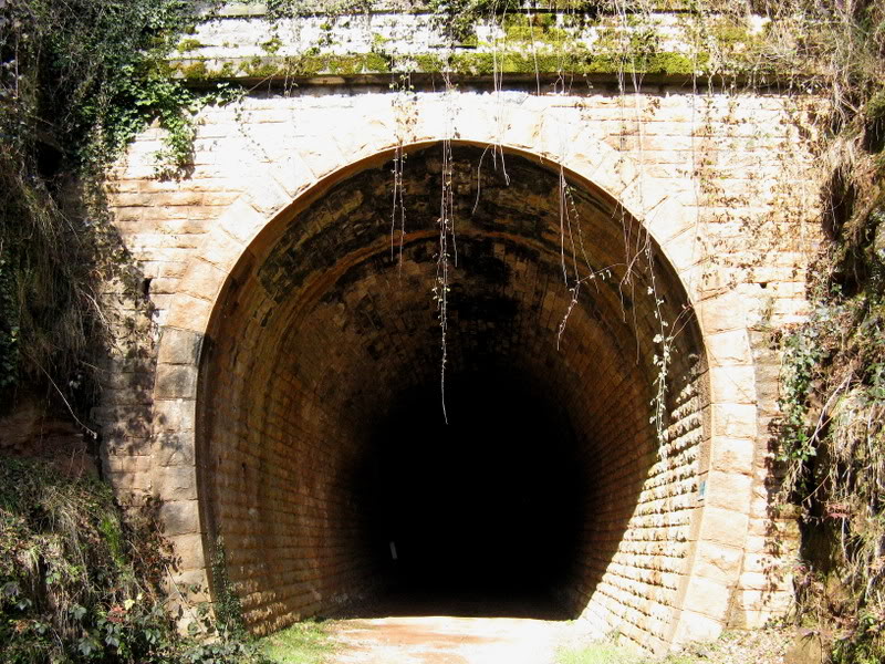 espalion - Bertholène-Espalion (Aveyron) : coup de foudre et mal au coeur... Tdelabaume2