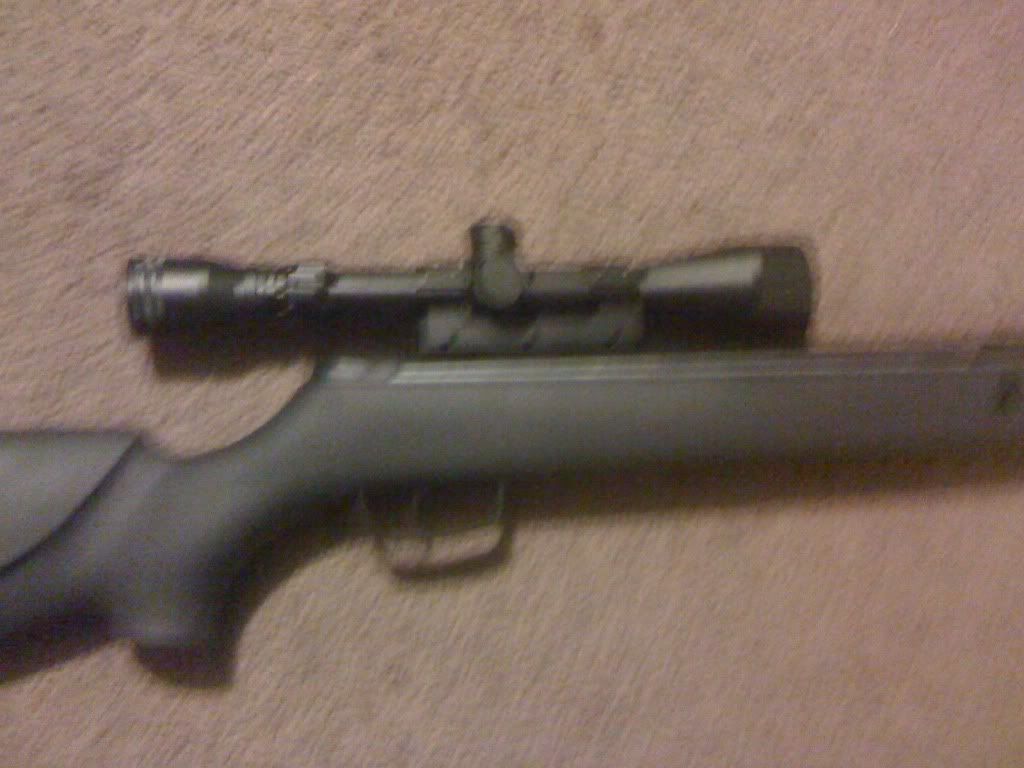 Gamo big cat air rifle/ pellet gun for sale 2883d82f