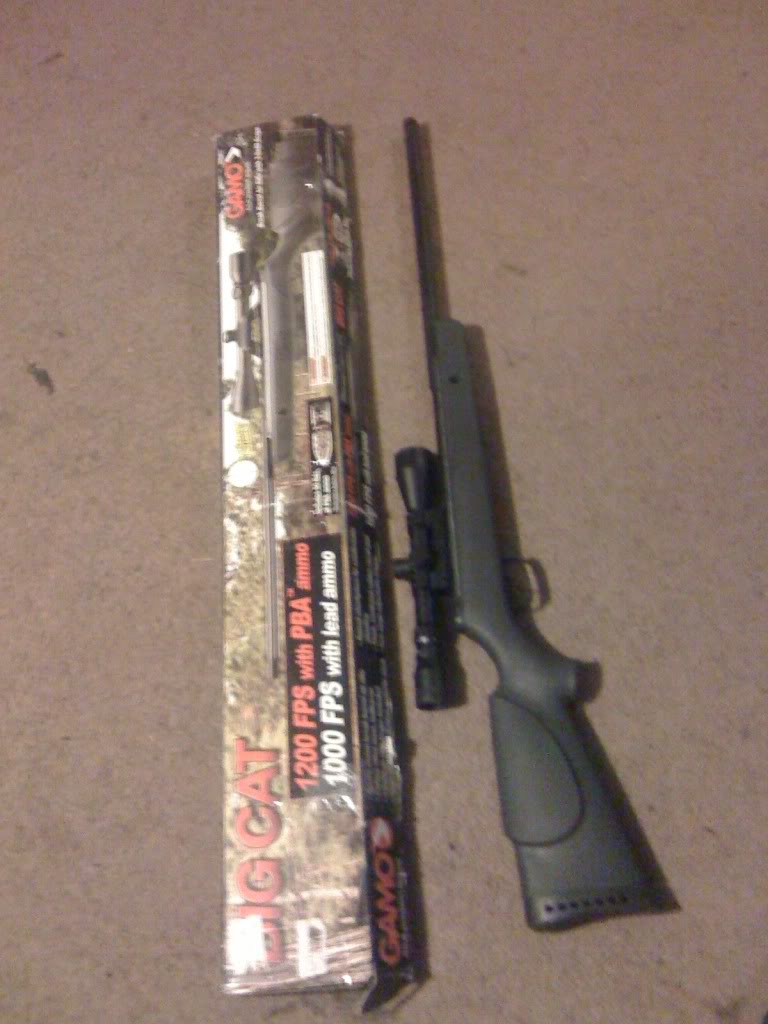 Gamo big cat air rifle/ pellet gun for sale E5f06101