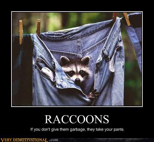 Post your greatest (or worst) demotivational posters! Raccoons