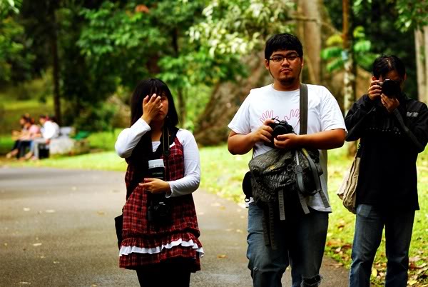 --++ FR Gath Alun2Nikonian I 2011 : Macro kebun Raya Bogor ++-- KRB_DSC_0291