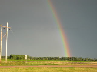 Rainbow Rainbow004