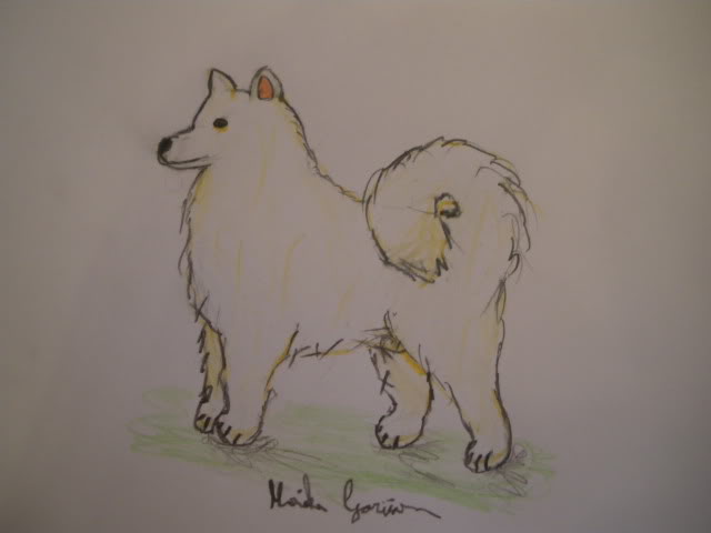 art by husky lover-Monika IMGP1551