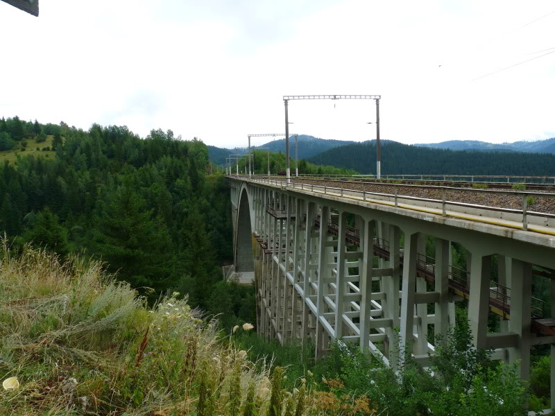 Viaducte din Romania P1020008