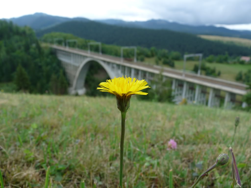 Viaducte din Romania P1020011