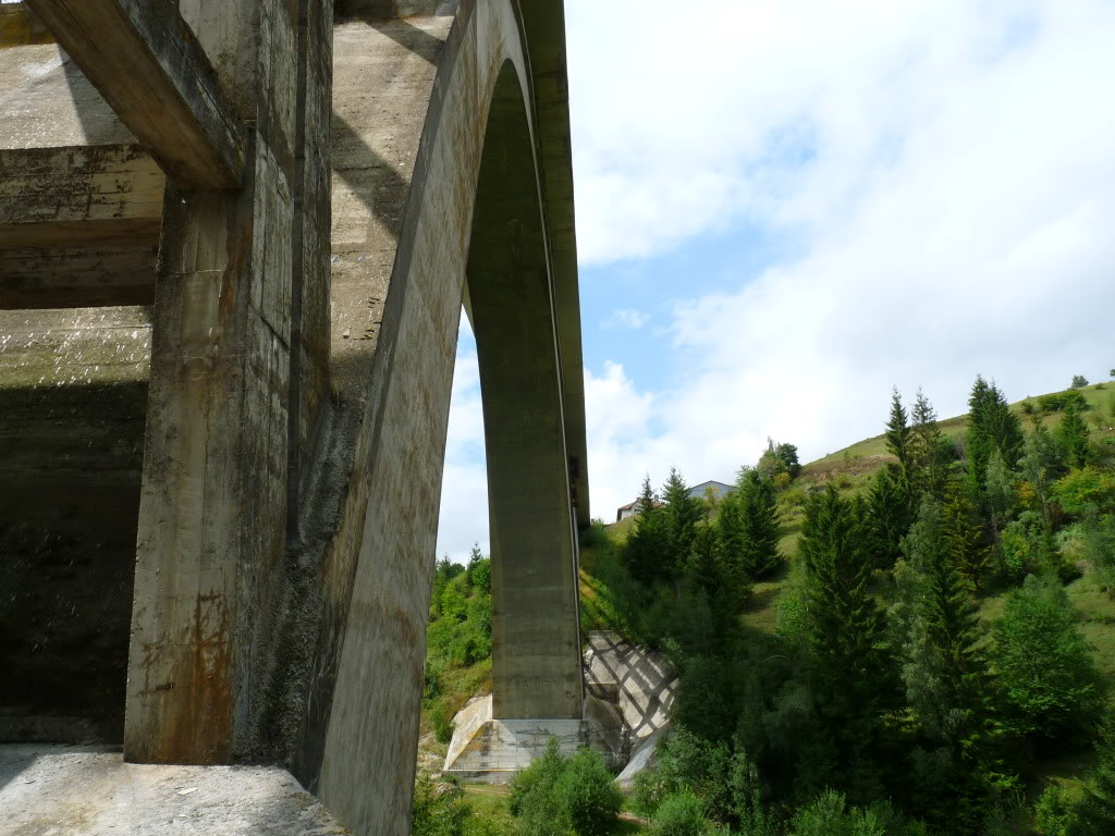 Viaducte din Romania P1020031