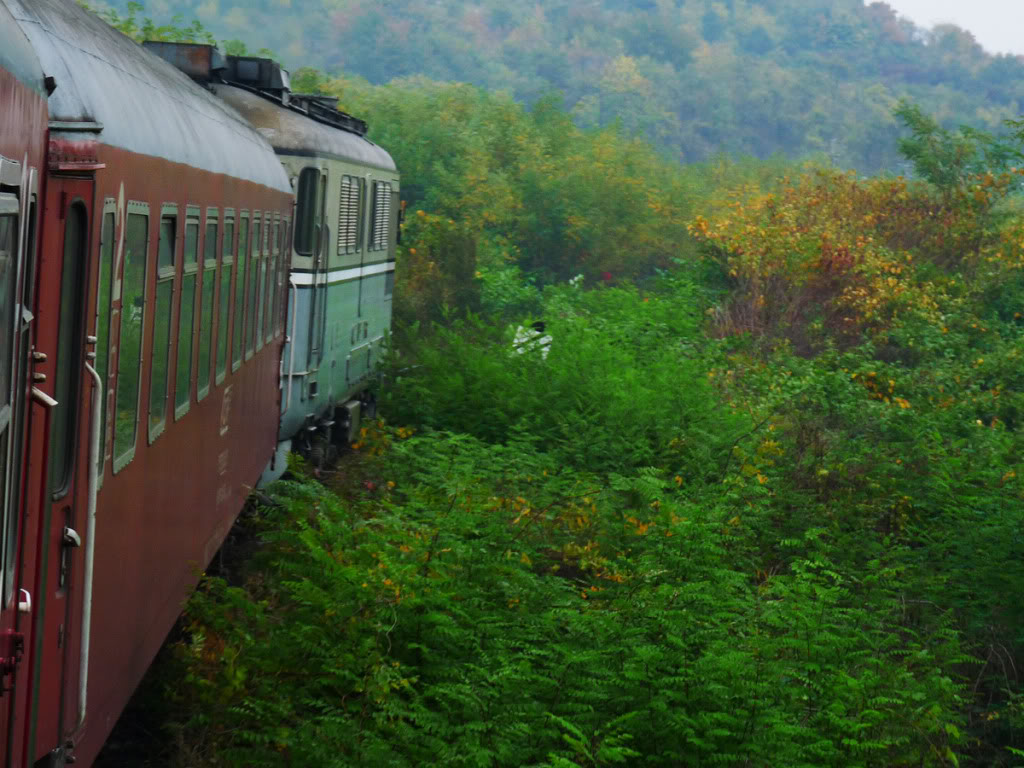 M 400 : Brasov - Miercurea Ciuc - Deda - Baia Mare - Satu Mare P1040031