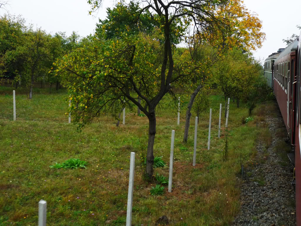 M 400 : Brasov - Miercurea Ciuc - Deda - Baia Mare - Satu Mare P1040034