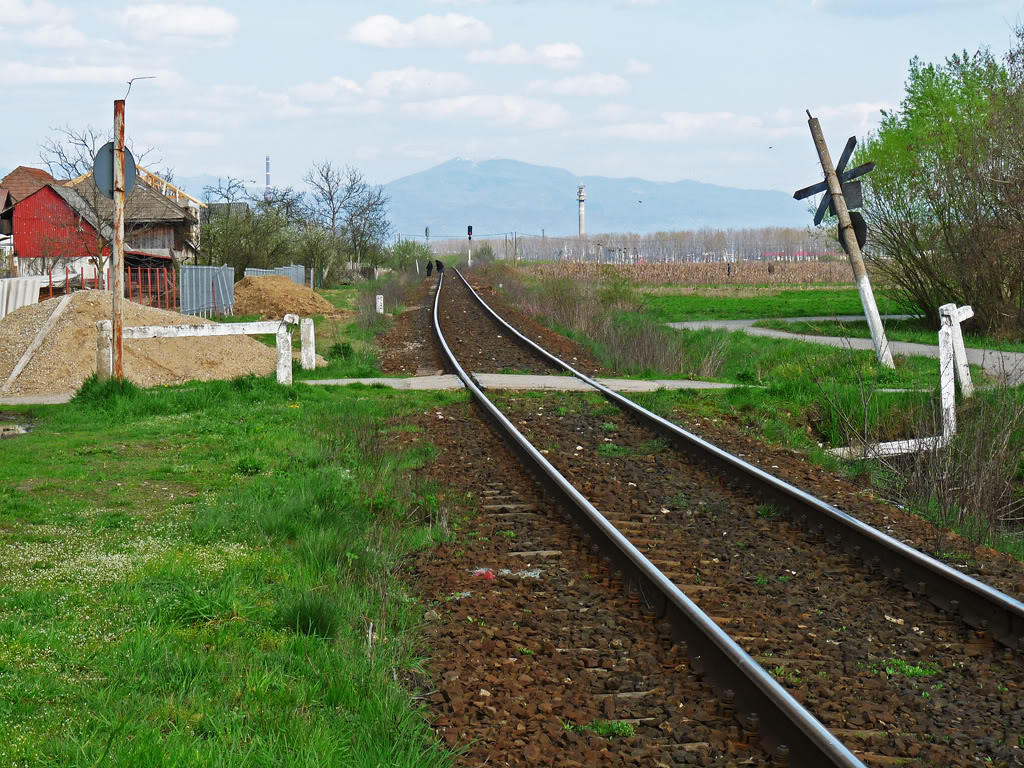 M 400 : Brasov - Miercurea Ciuc - Deda - Baia Mare - Satu Mare - Pagina 2 P1060124