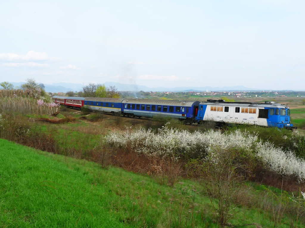 M 400 : Brasov - Miercurea Ciuc - Deda - Baia Mare - Satu Mare - Pagina 2 P1060169