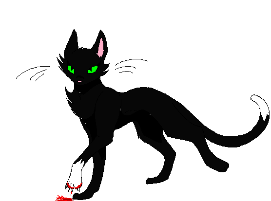 Nyx (Orchid's Cat) NW