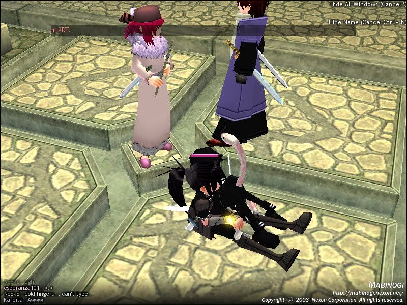 Smile upon our great noobness Mabinogi_2009_04_06_003