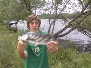 Fishing Pictures Striper12-1