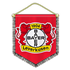 Bayer Leverkusen