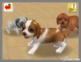 Top 25 Nintendo DS Games - IGN 2009  Nintendogs-miniature-dachshund-f-1