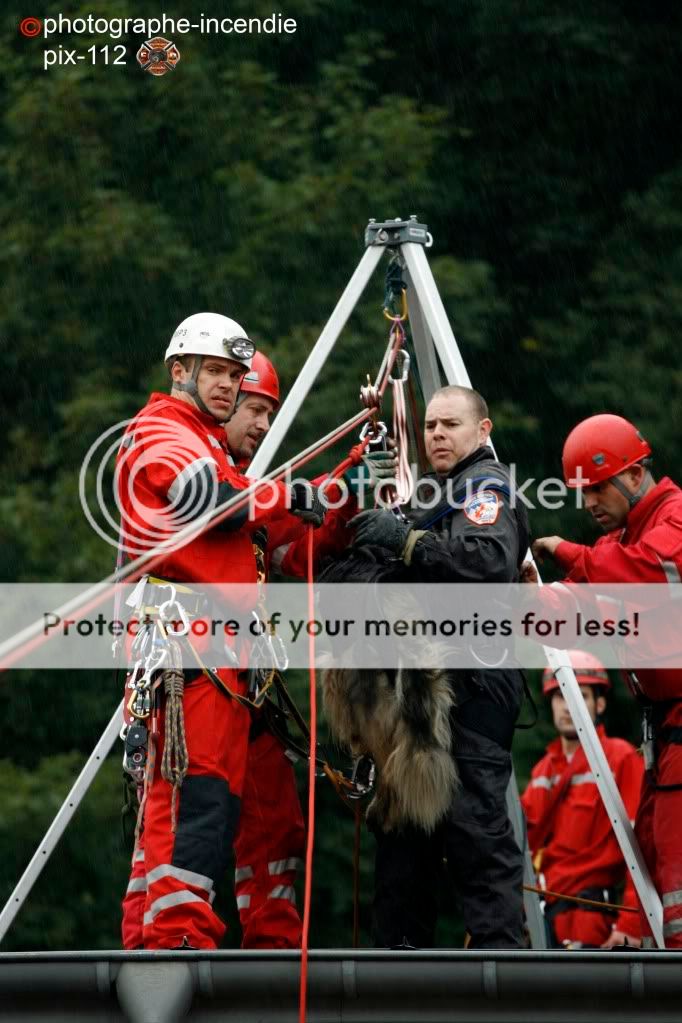 Prochains rendez-vous "publics" des Rescue Dog _MG_6519rcopie