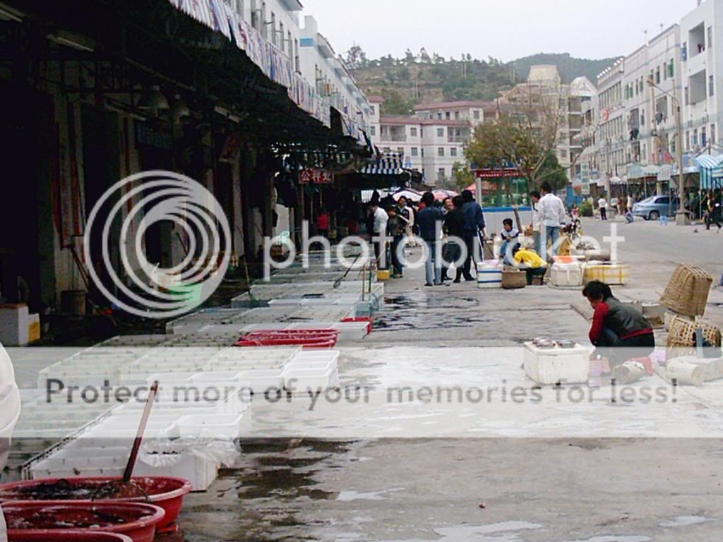 南澳釣魚行街市 001-5