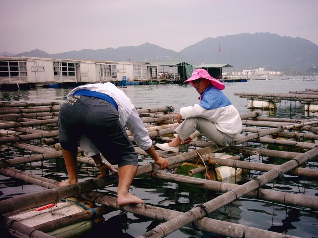 南澳釣魚行街市 022-4