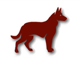 chinese astrology Dog_big