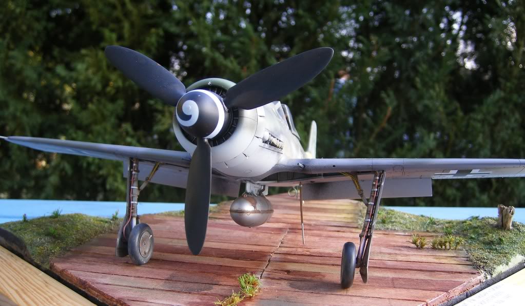 Focke Wulf FW 190 D  , Revell 1/32 DSCF2506