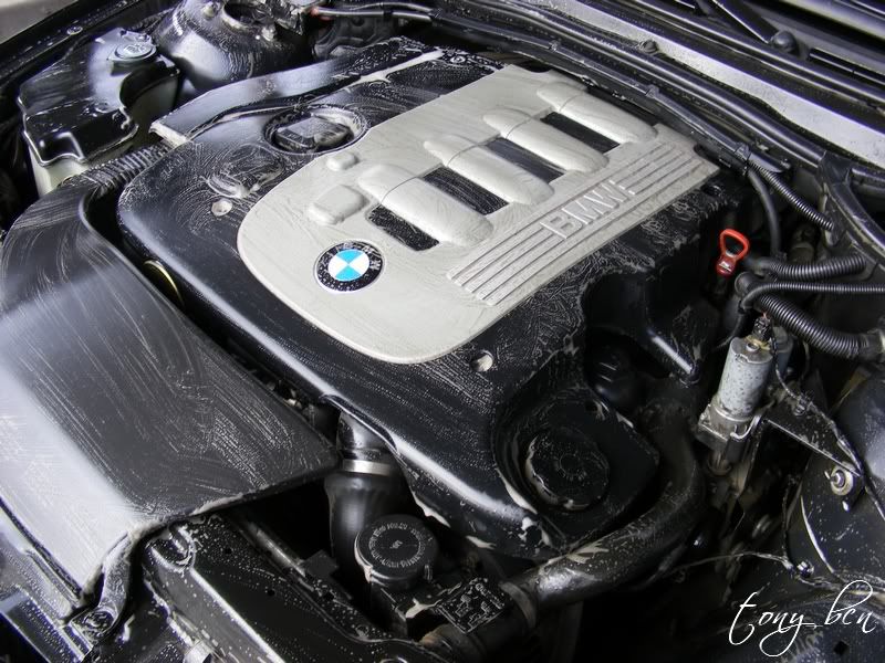 Limpeza express motor BMW. 0039