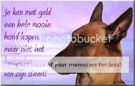 Geld... Hond_kopen