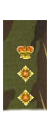 Rank and Structure Colonel-1